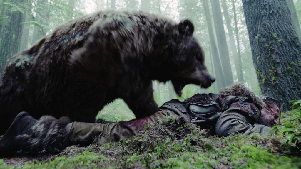 сонник медведь напал на человека