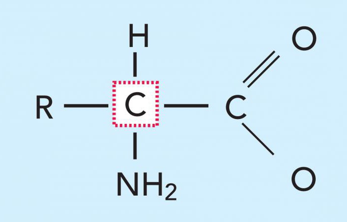 установите соответствие между символом химического элемента