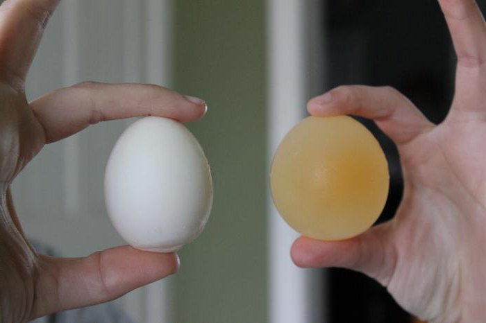 как сделать резиновое яйцо