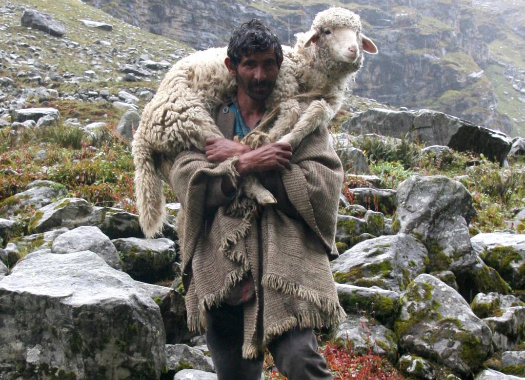 пастырь фото
