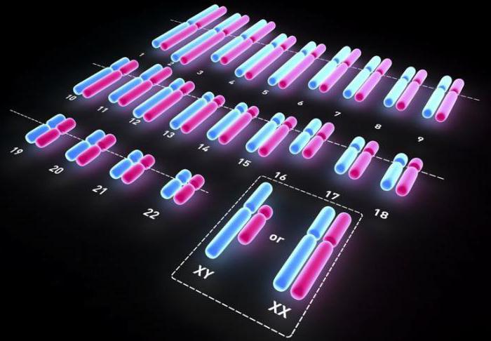классификация хромосомных аберраций