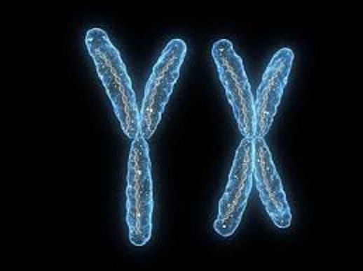 виды хромосомных аберраций