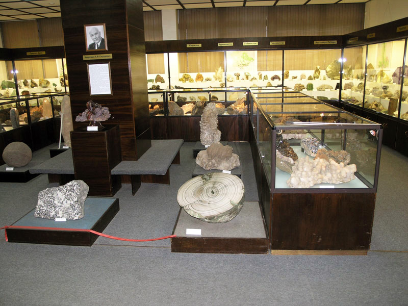 Палеонтологический зал музея