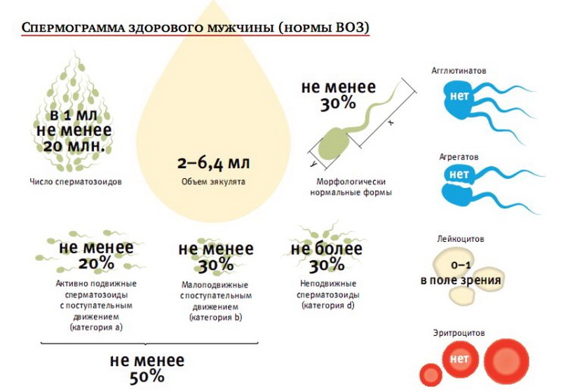 почему происходит семяизвержение у мужчин почему происходит преждевременное семяизвержение