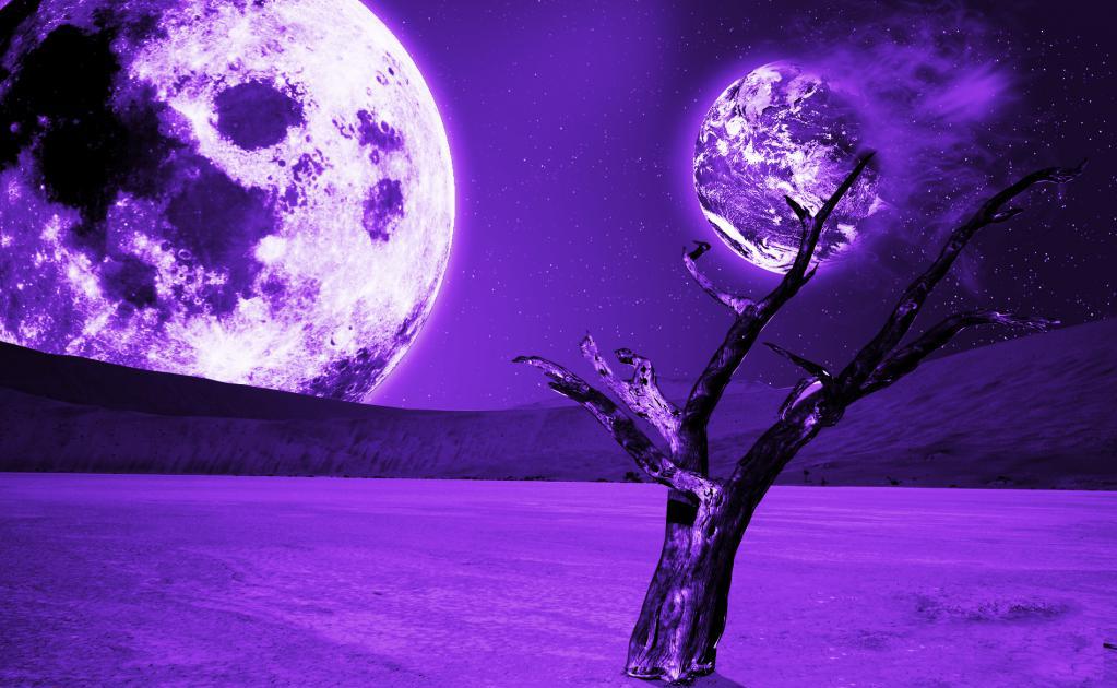 Фиолетовый мир во сне
