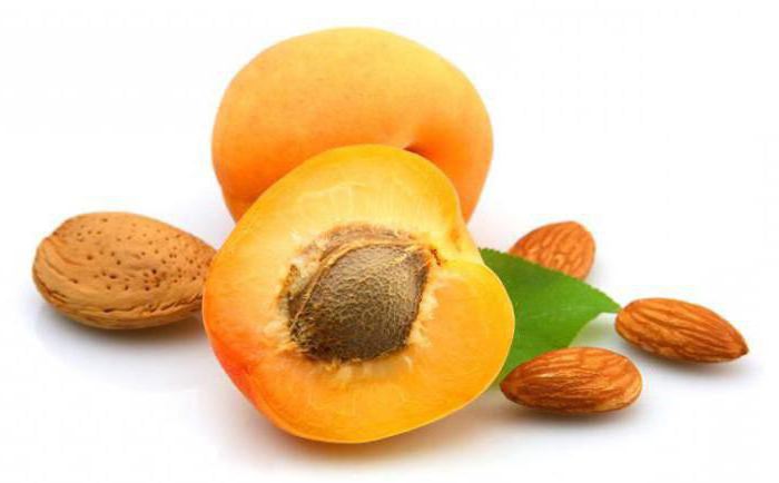 рак лечение рака абрикосовыми косточками
