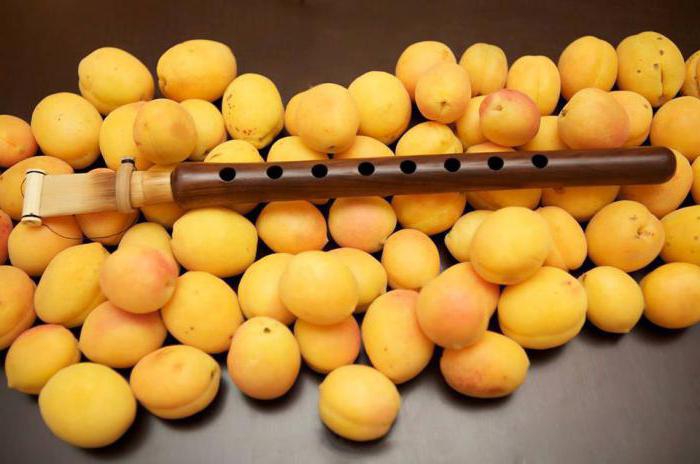сорт армянских абрикосов