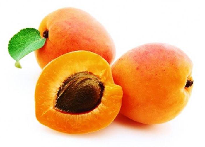 срок созревания армянских абрикосов
