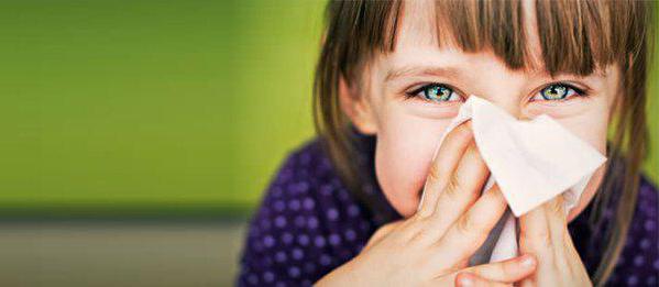 признаки аллергии на пыль у детей 