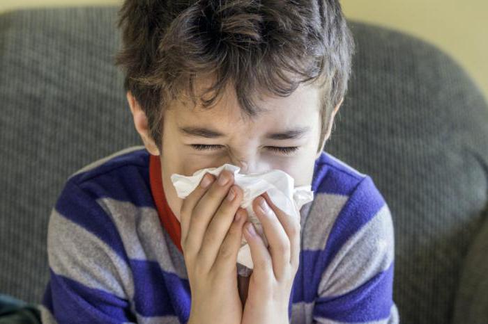 диета при аллергии на пыль у детей 