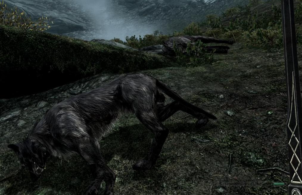 Мертвые волки