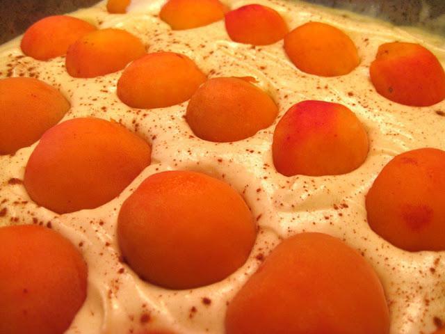 Шарлотка с абрикосами в духовке