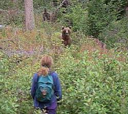 что делать если встретил медведя в лесу летом