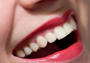 эмаль и дентин зуба