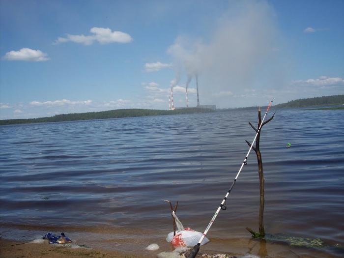 рефтинское водохранилище 