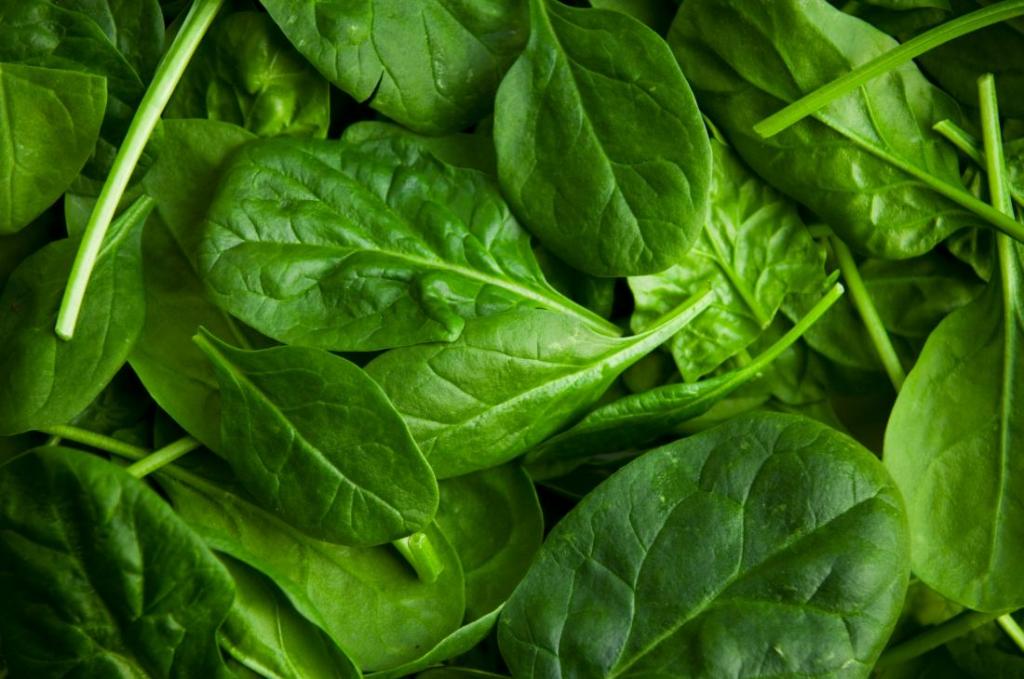 Простой салат с кириешками: рецепт, особенности приготовления и отзывы