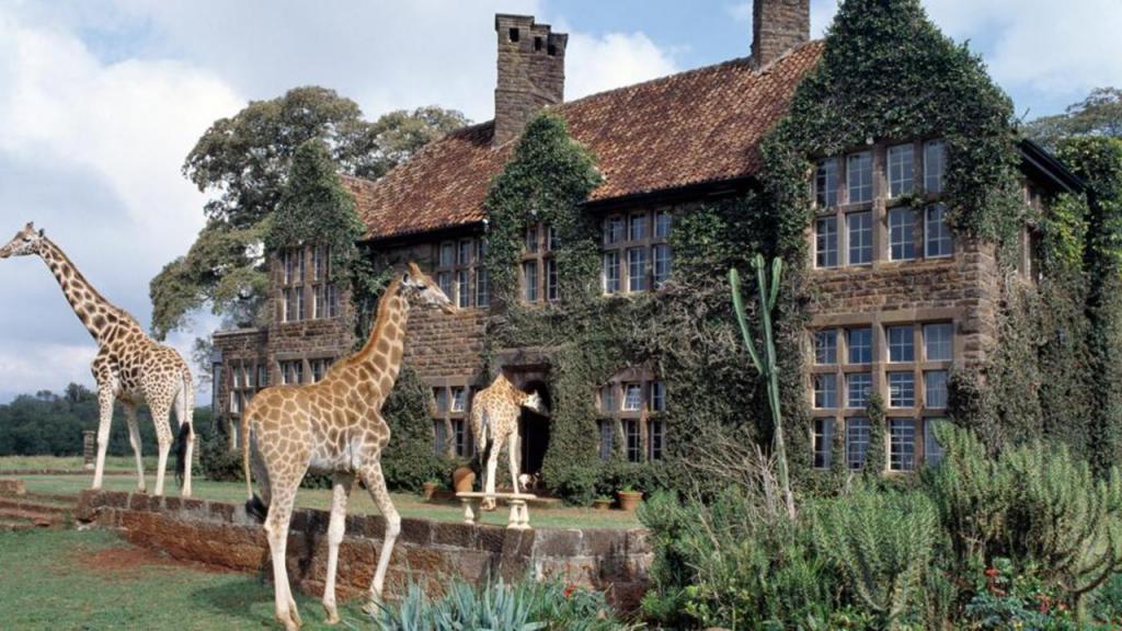 отель с жирафами