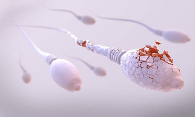Барьерный метод контрацептива: понятие, виды контрацептивов, выбор лучшего и рекомендации врачей