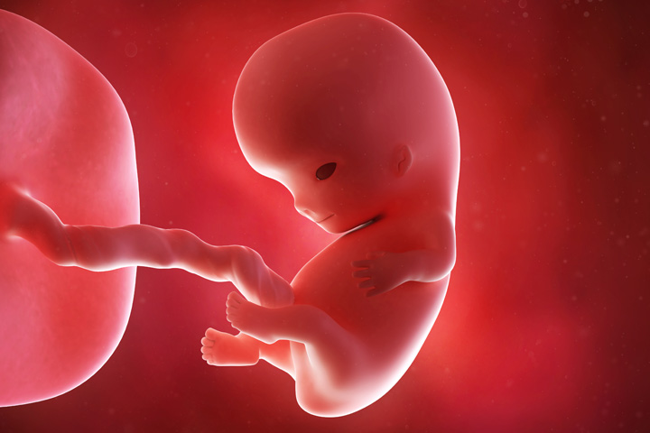 Ощущения на 7 неделе беременности: нормы развития плода, чувства женщины и изменения в организме