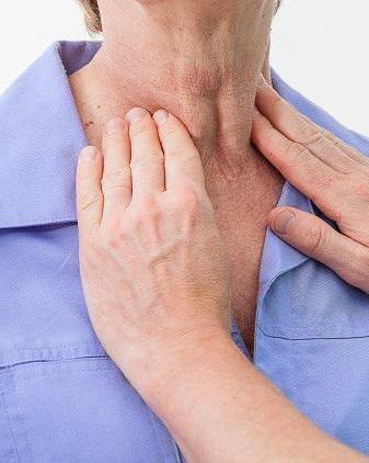 щитовидная железа место расположения 