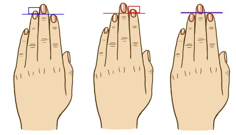 Сравнение длины пальцев