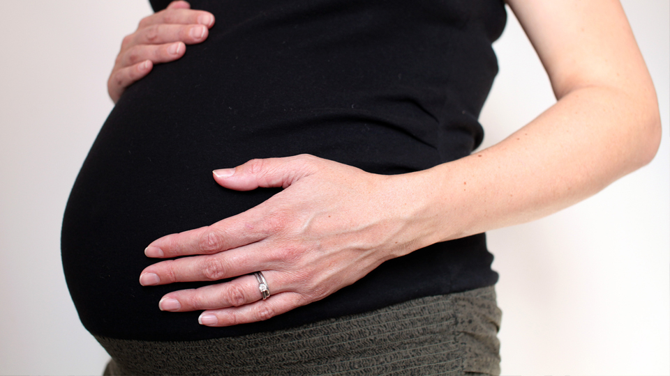 расчет выплат пособия по беременности и родам