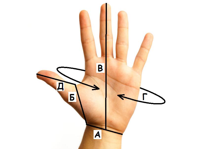 как измерить ладонь для митенок