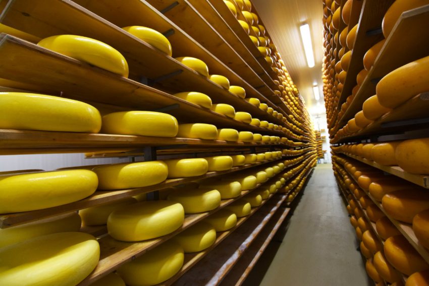 Разновидности сыра