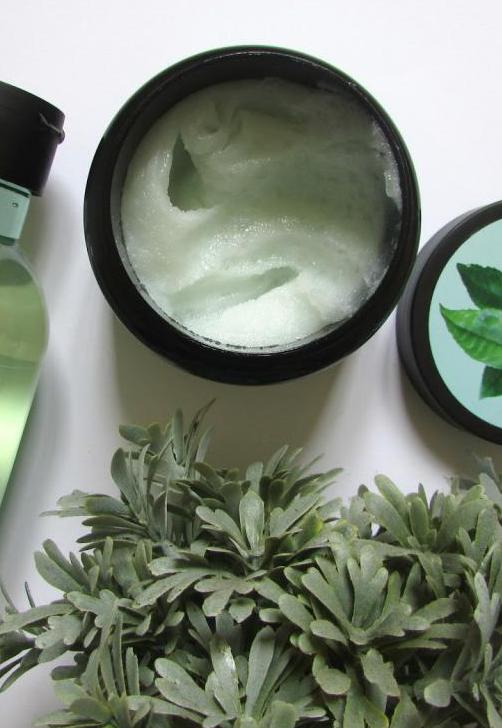 Зеленый чай для волос: рецепты использования, полезные свойства, дополнительные ингредиенты, отзывы