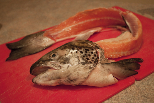 Этапы приготовления заливного из рыбы