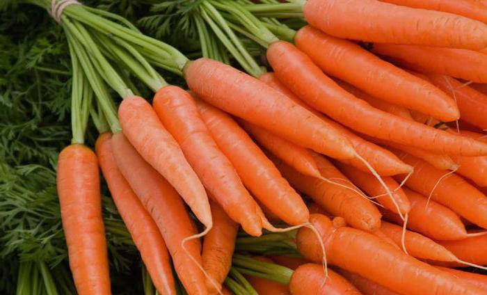 морковь химический состав и пищевая ценность