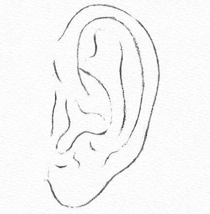 как нарисовать ухо человека