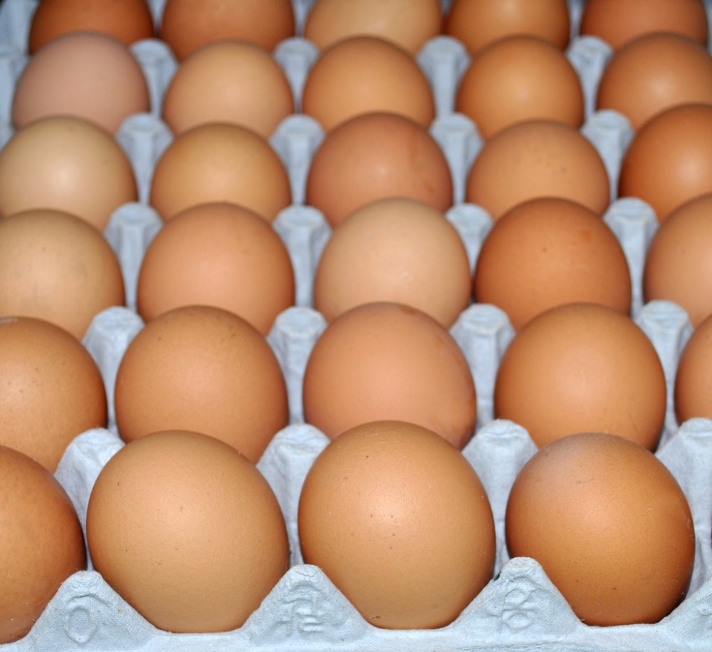 как проверить куриные яйца на свежесть