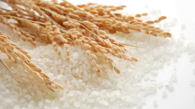 рисовые зерна