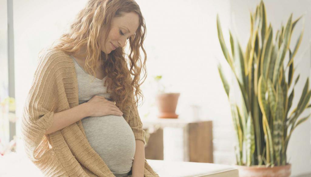 Изменения матки во время беременности