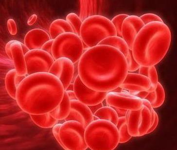 фибринолитическая и противосвертывающая системы крови
