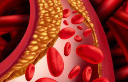 противосвертывающая система крови физиология