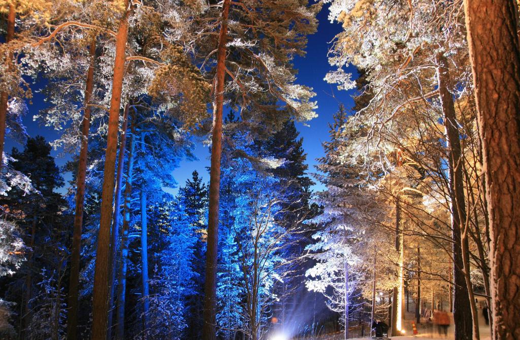 Лес - ресурс Финляндии