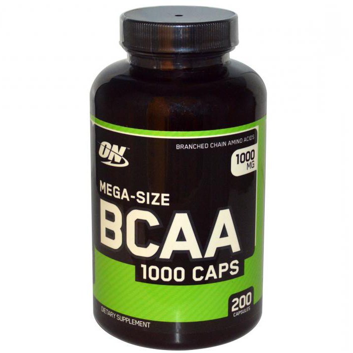 bcaa 5000 powder