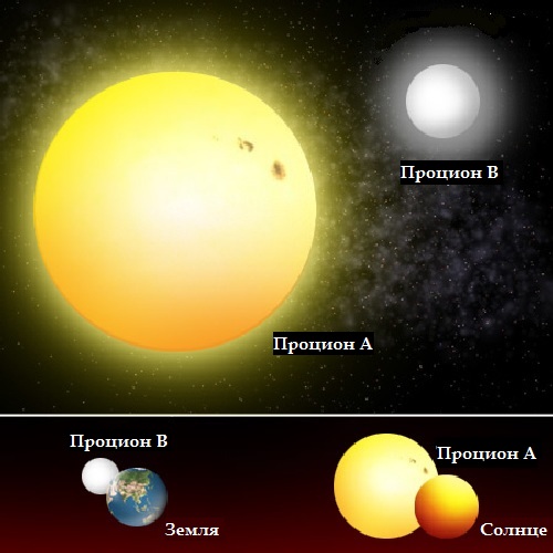 Процион в сравнении с Солнцем и Землей 