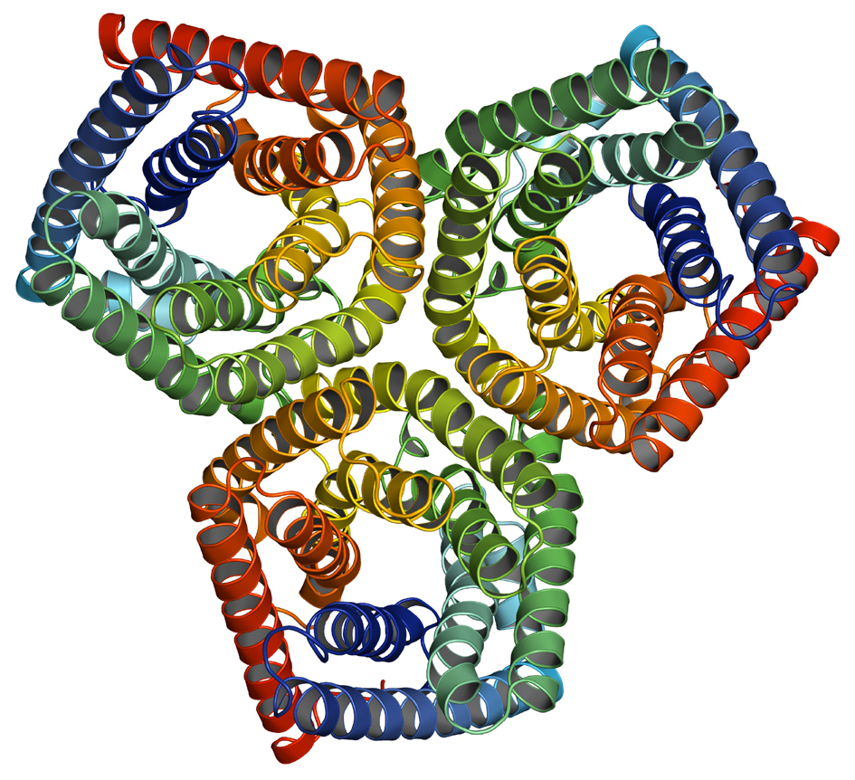 структуры белковых молекул