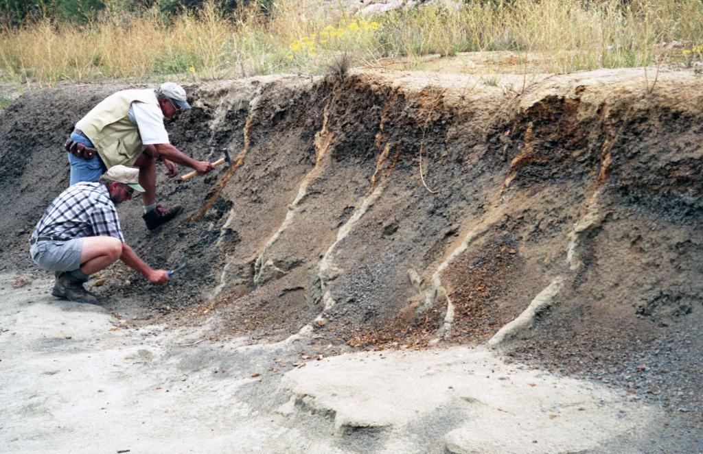 геология важная часть почвоведения