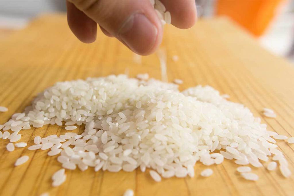 круглозерный белый рис