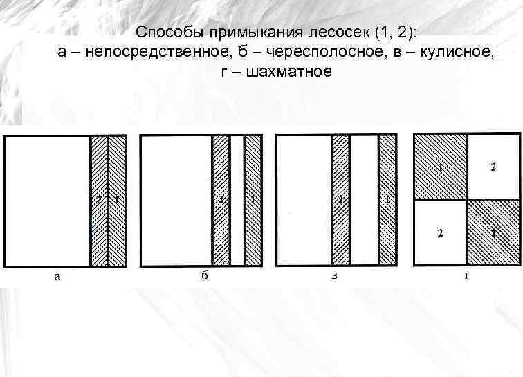 Способы примыкания лесосек