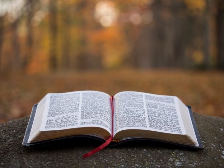 Библия содержит Ветхий и Новый Завет