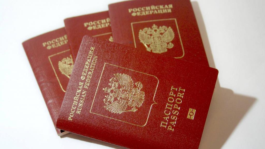 Несколько паспортов
