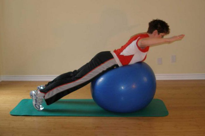 упражнения для укрепления мышц спины на фитболе 