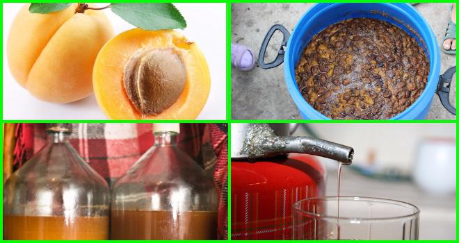 рецепт самогона из абрикосов в домашних 