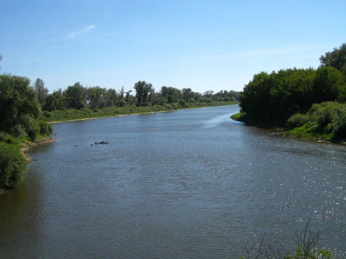 уровень воды в реке Тобол 