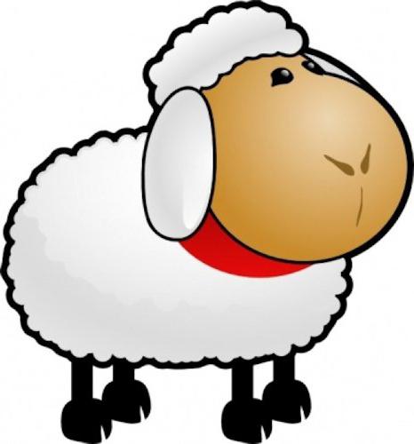 овца по восточному календарю 